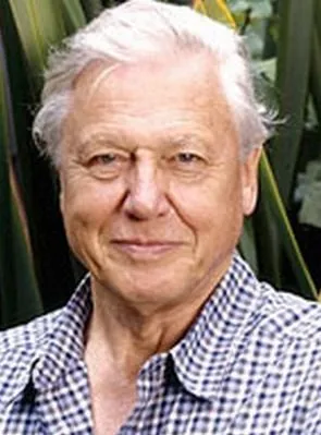 David Attenborough - Ator, Roteirista, Criador, 8 de maio de 1926