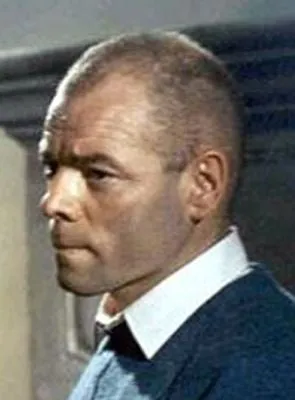 Dominique Zardi - Ator, Compositor, 2 de março de 1930, 14 de dezembro de 2009