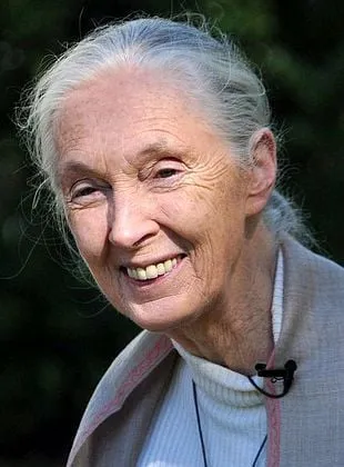Jane Goodall - 3 de abril de 1934