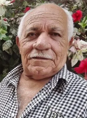 João Silva - 16 de agosto de 1935, 6 de dezembro de 2013